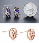 Wish Stone Birthstone Crystal Stud Earrings for Women